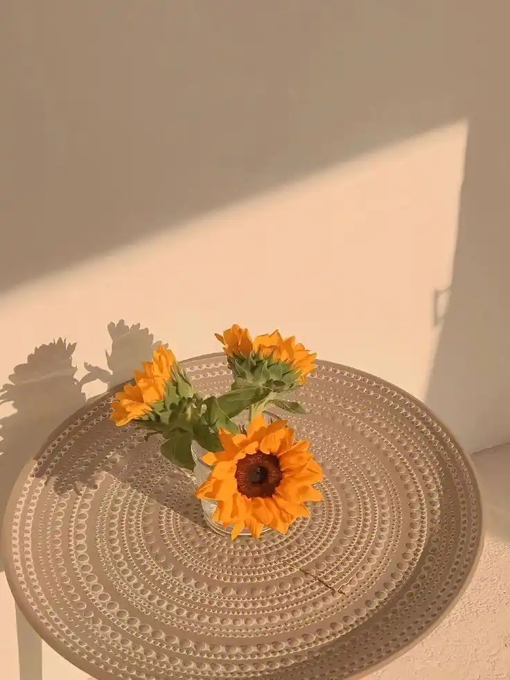 QuickQ 官方网站安卓汉化版V88.80.86下载